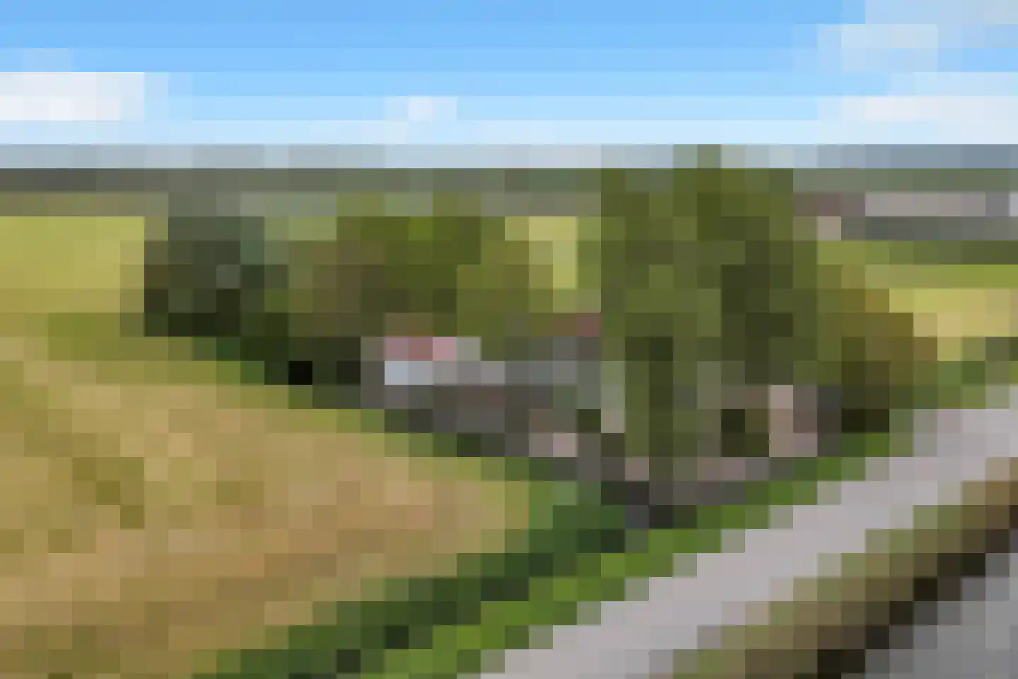 Grote Sloot 10 Burgerbrug thumbnail 74