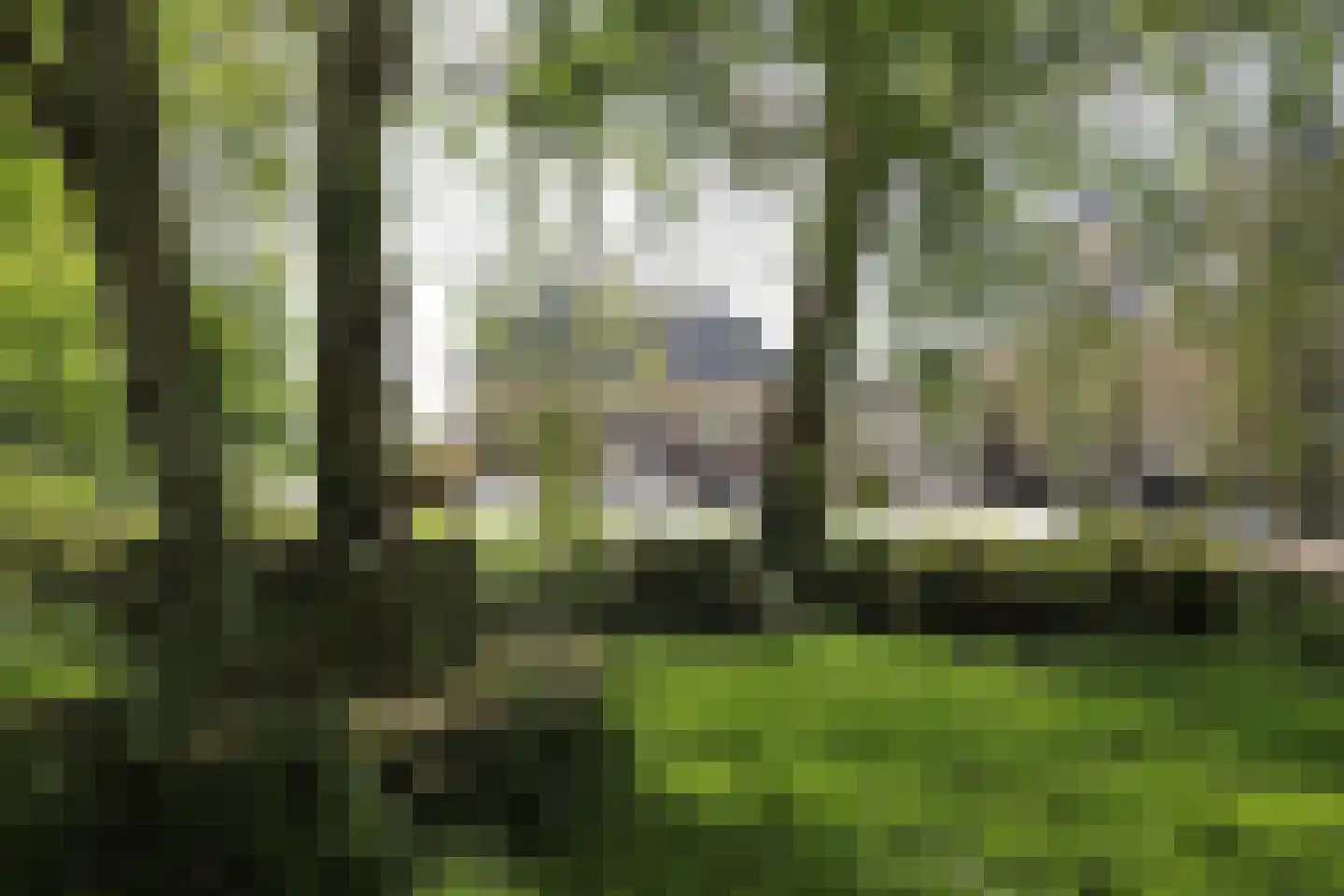 Grote Sloot 134 Burgerbrug thumbnail 27