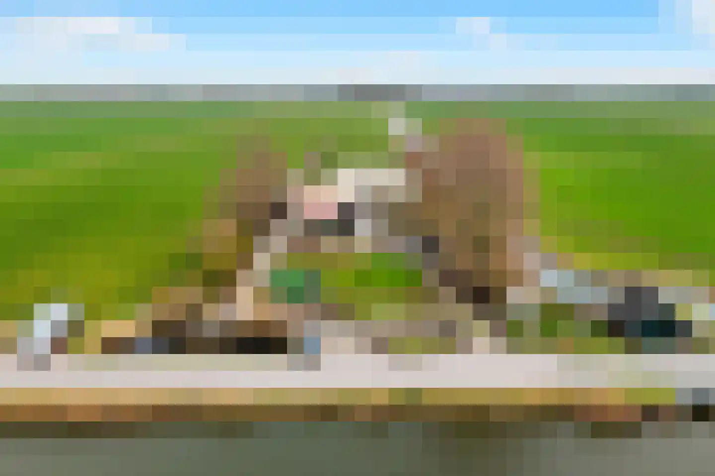 Grote Sloot 148 Burgerbrug thumbnail 70