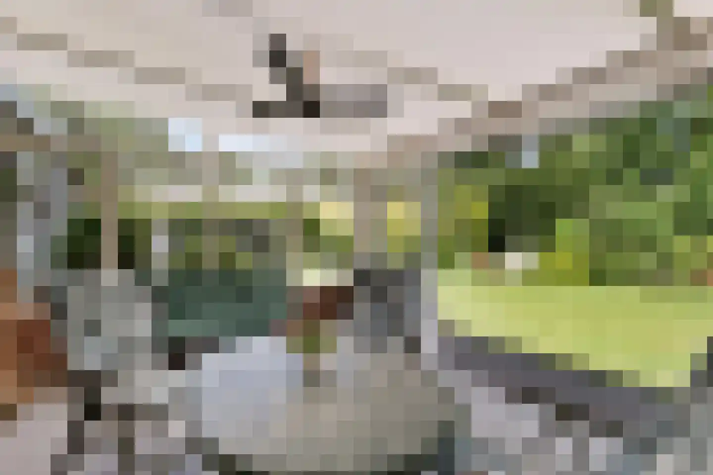 Grote Sloot 160 Sint Maartensbrug thumbnail 22