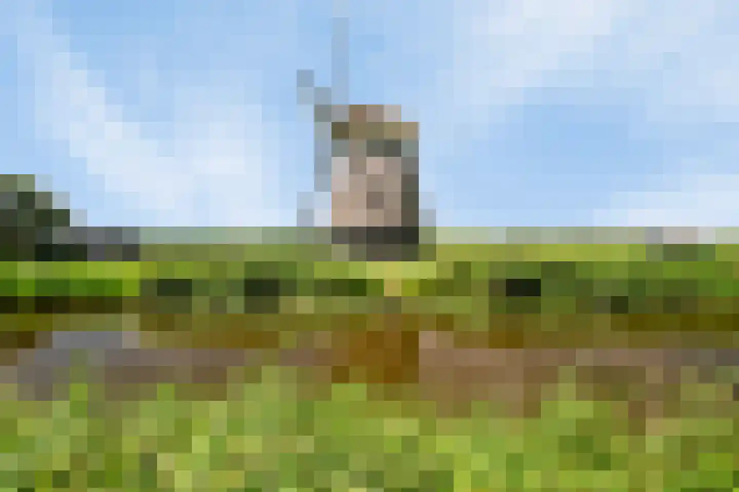 Grote Sloot 160 Sint Maartensbrug thumbnail 72