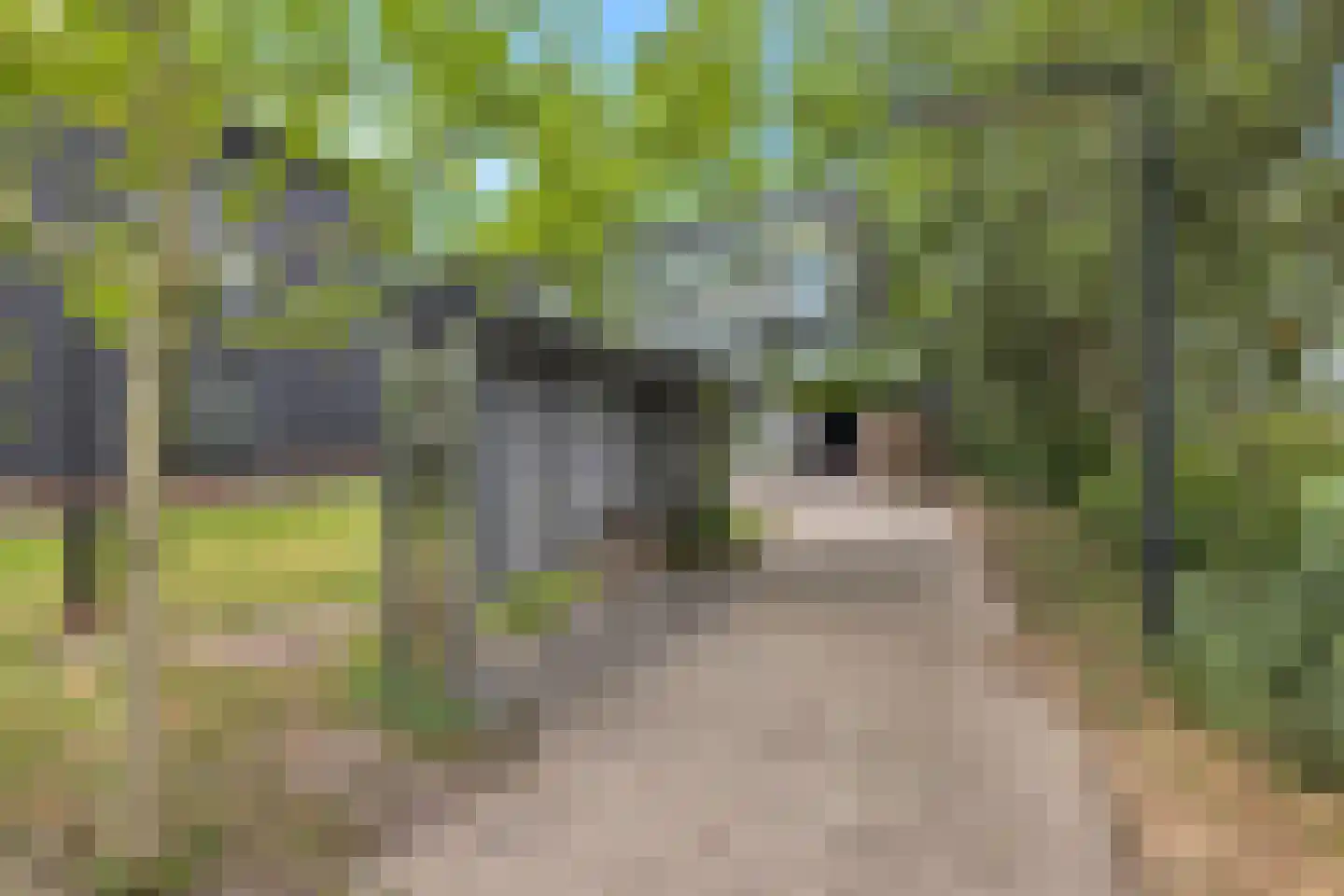 Grote Sloot 235 B Sint Maartensbrug thumbnail 57