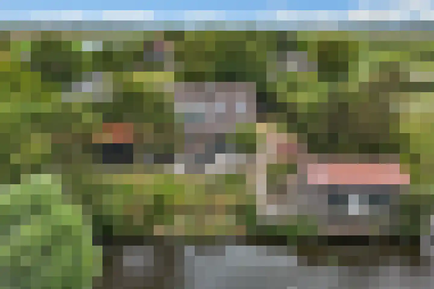 Grote Sloot 235 B Sint Maartensbrug thumbnail 60