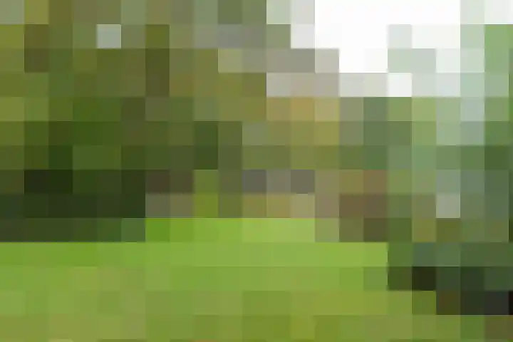 Grote Sloot 241 Sint Maartensbrug thumbnail 26