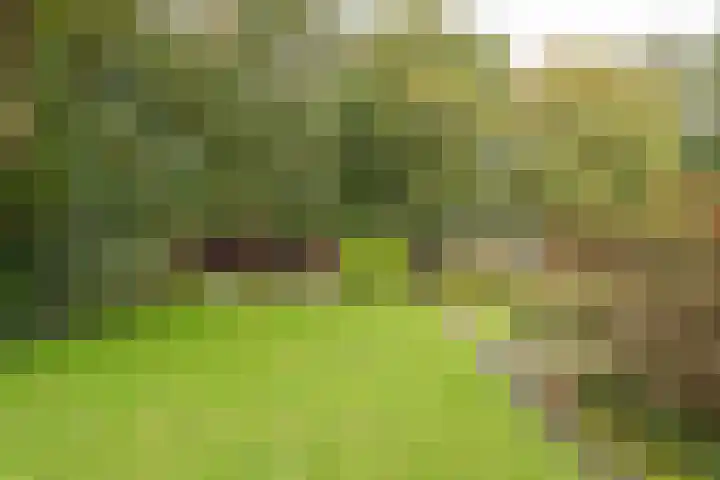 Grote Sloot 241 Sint Maartensbrug thumbnail 27