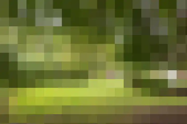 Grote Sloot 241 Sint Maartensbrug thumbnail 33