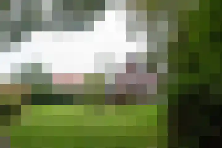 Grote Sloot 241 Sint Maartensbrug thumbnail 34