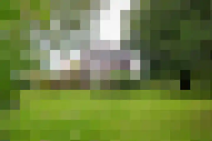 Grote Sloot 241 Sint Maartensbrug thumbnail 35