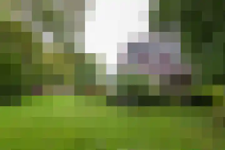 Grote Sloot 241 Sint Maartensbrug thumbnail 37