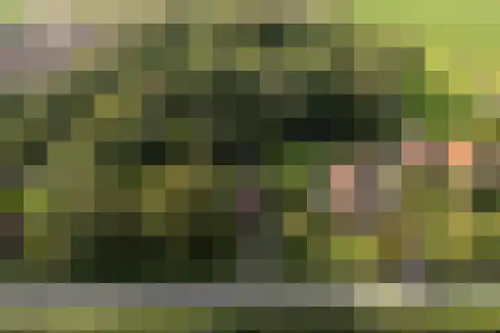 Grote Sloot 241 Sint Maartensbrug thumbnail 4