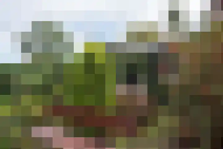 Grote Sloot 241 Sint Maartensbrug thumbnail 40