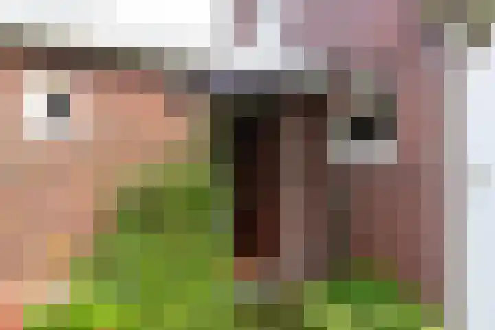 Grote Sloot 241 Sint Maartensbrug thumbnail 42