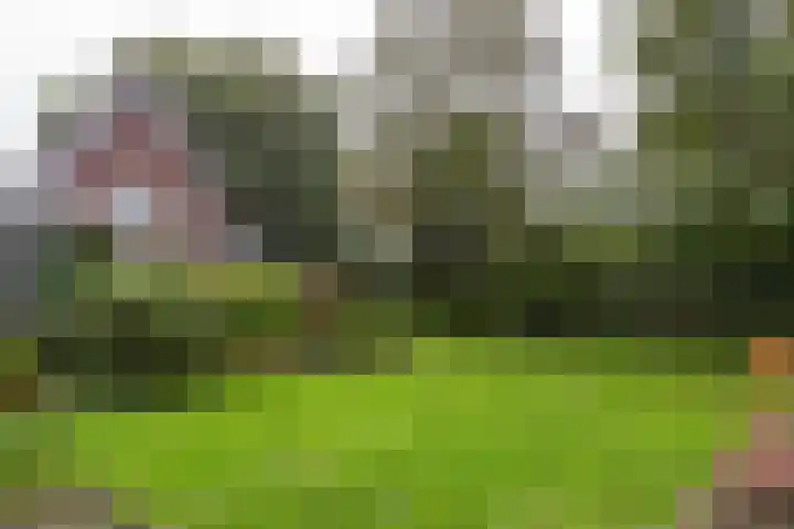 Grote Sloot 241 Sint Maartensbrug thumbnail 43