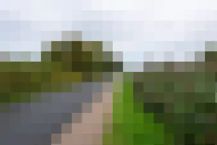 Grote Sloot 241 Sint Maartensbrug thumbnail 45