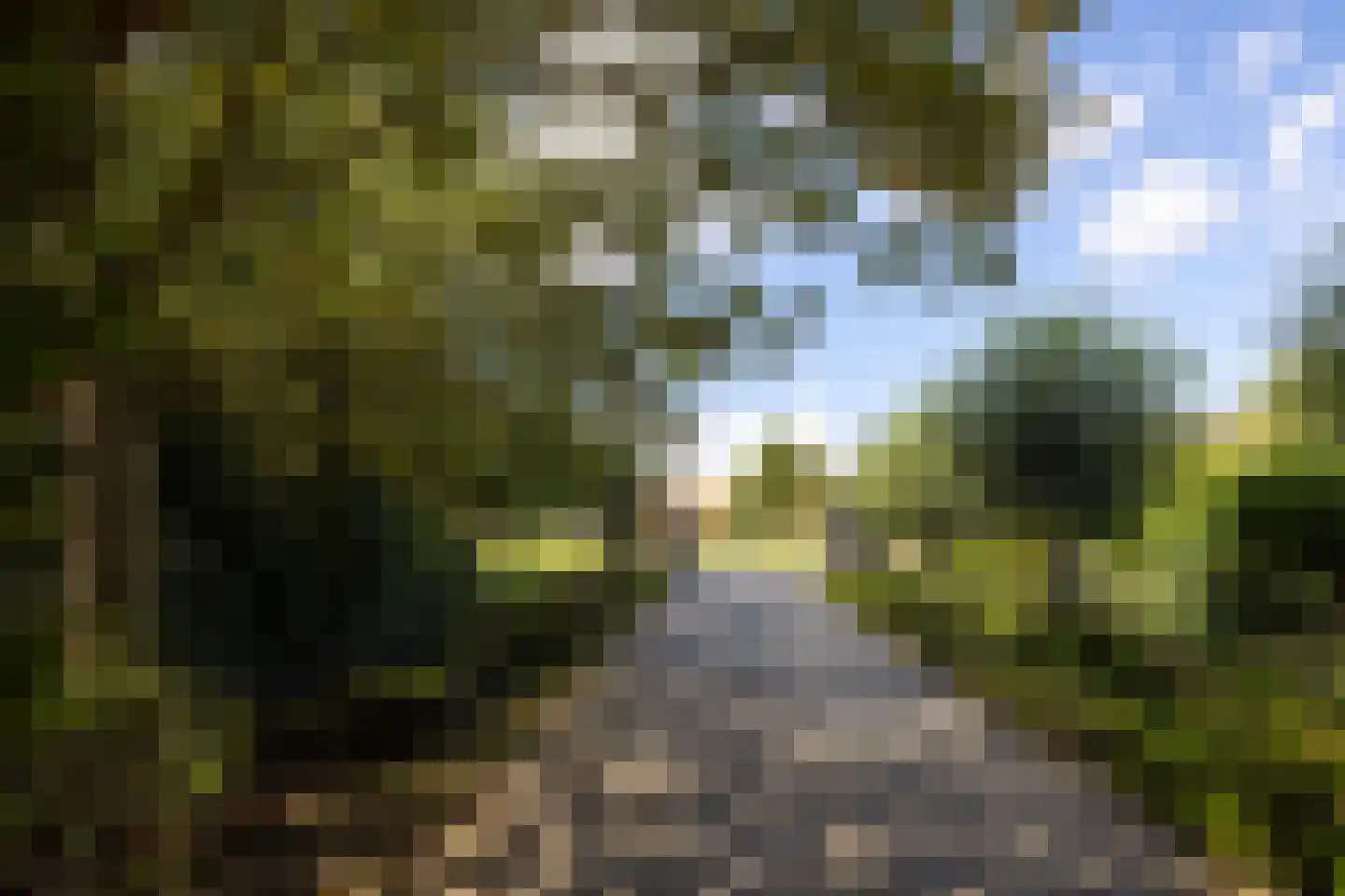 Grote Sloot 26 Burgerbrug thumbnail 31