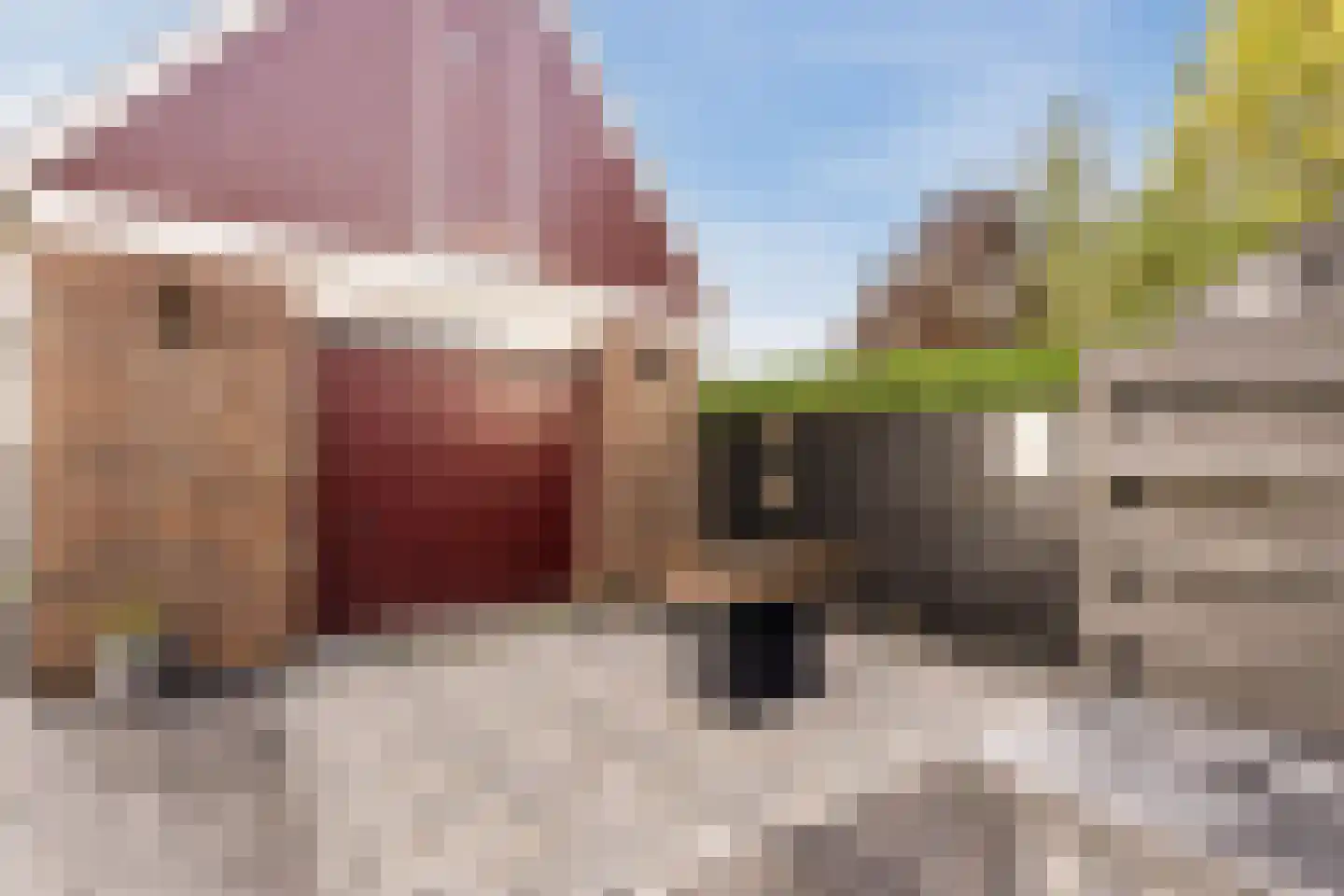 Grote Sloot 282 Schagerbrug thumbnail 36