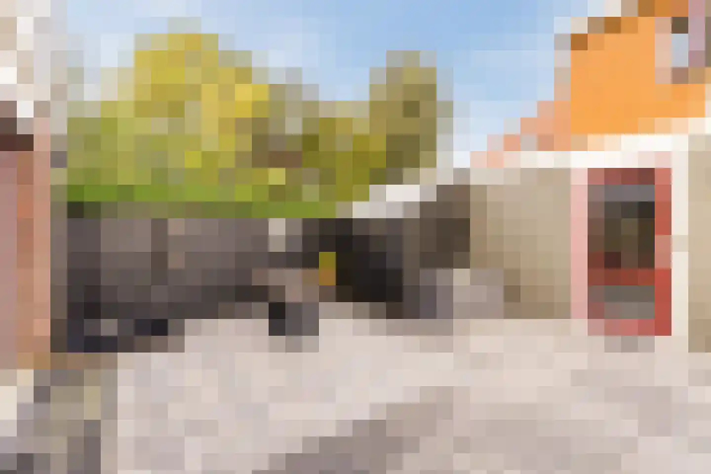 Grote Sloot 282 Schagerbrug thumbnail 37
