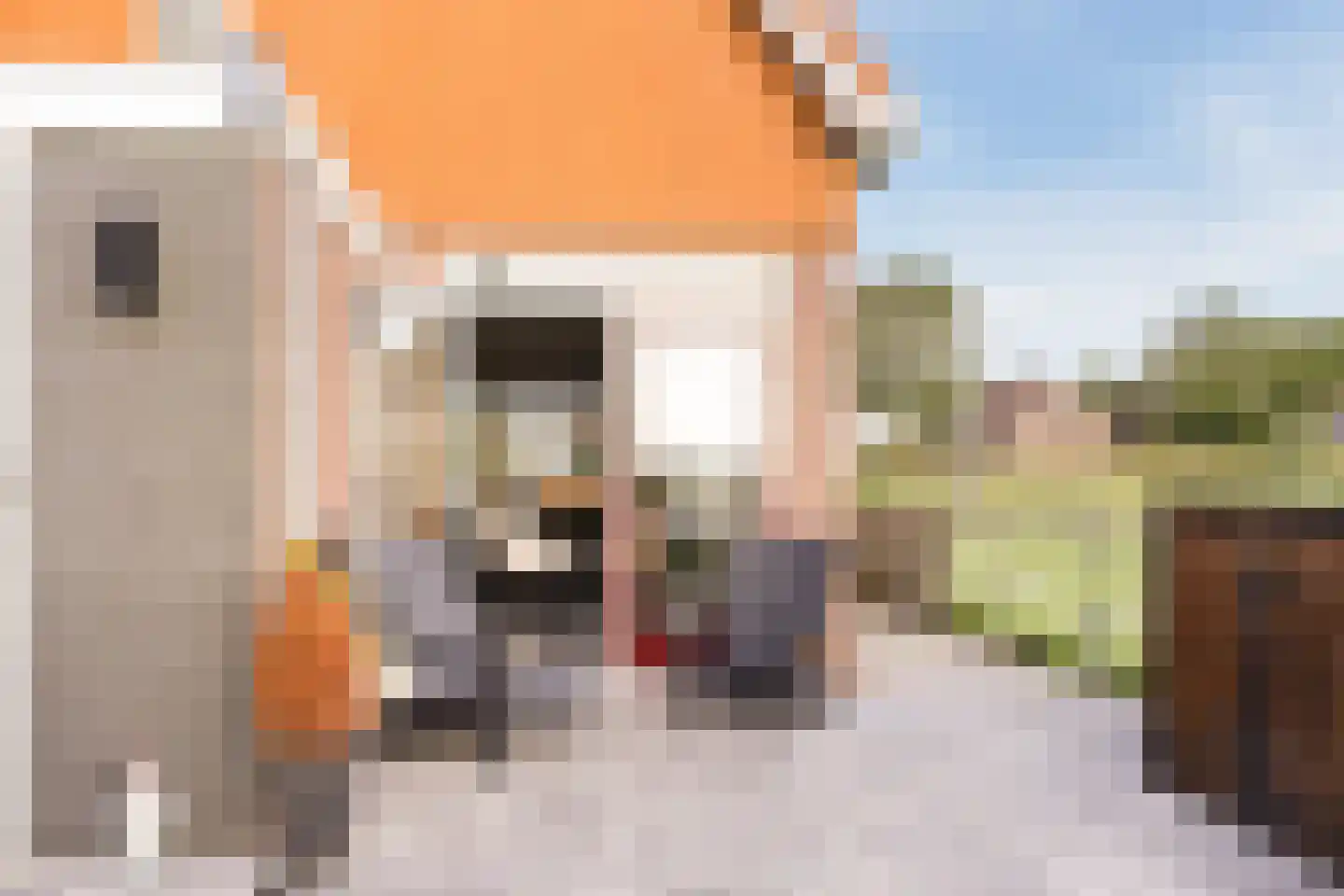 Grote Sloot 282 Schagerbrug thumbnail 38