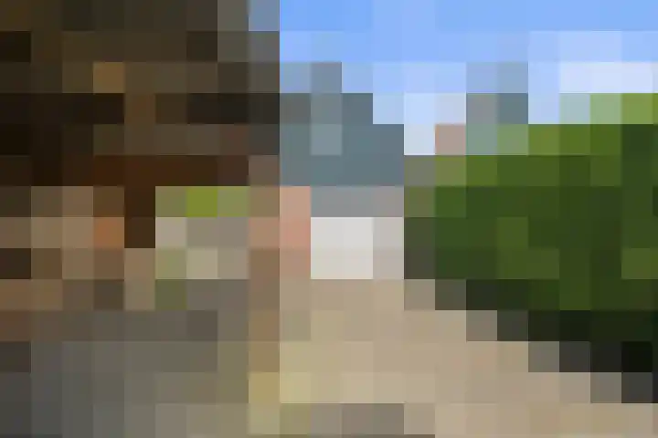 Grote Sloot 326 Schagerbrug thumbnail 26