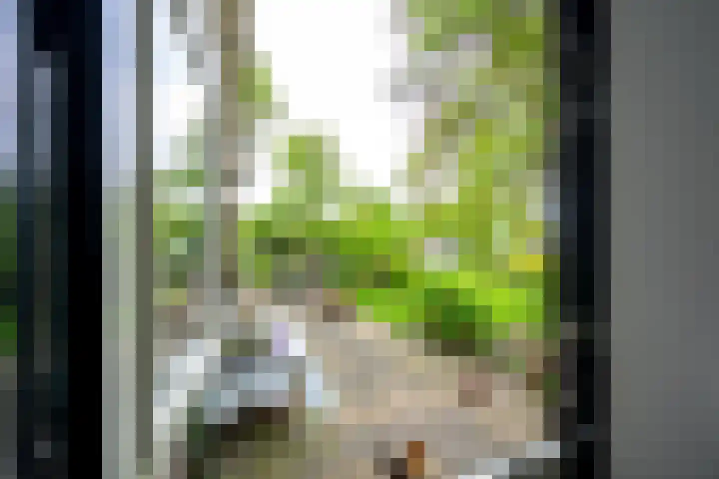 Grote Sloot 377 Schagerbrug thumbnail 19