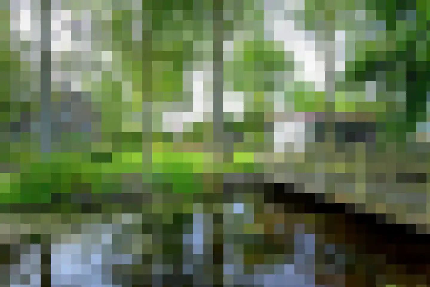 Grote Sloot 377 Schagerbrug thumbnail 29