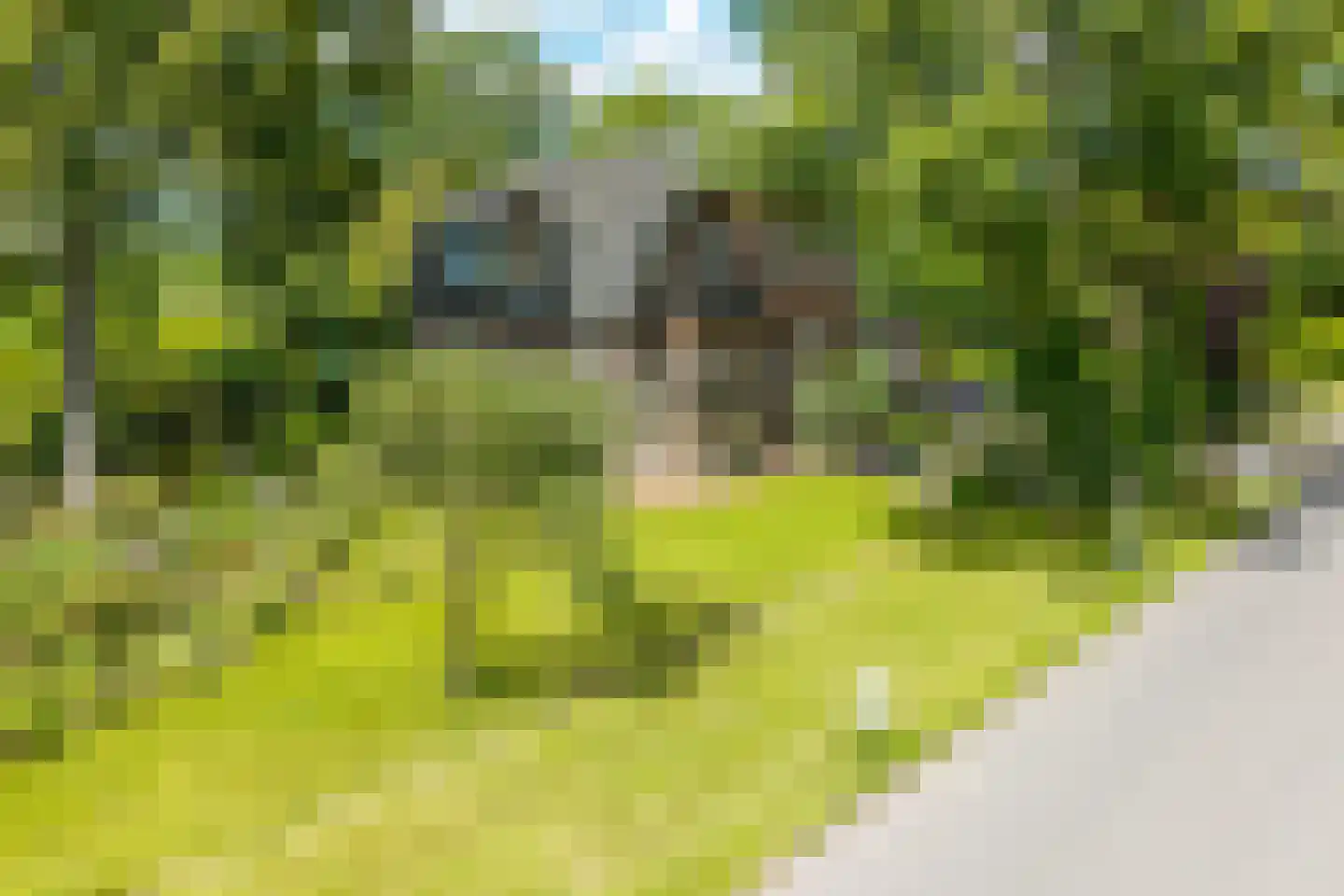 Grote Sloot 377 Schagerbrug thumbnail 4