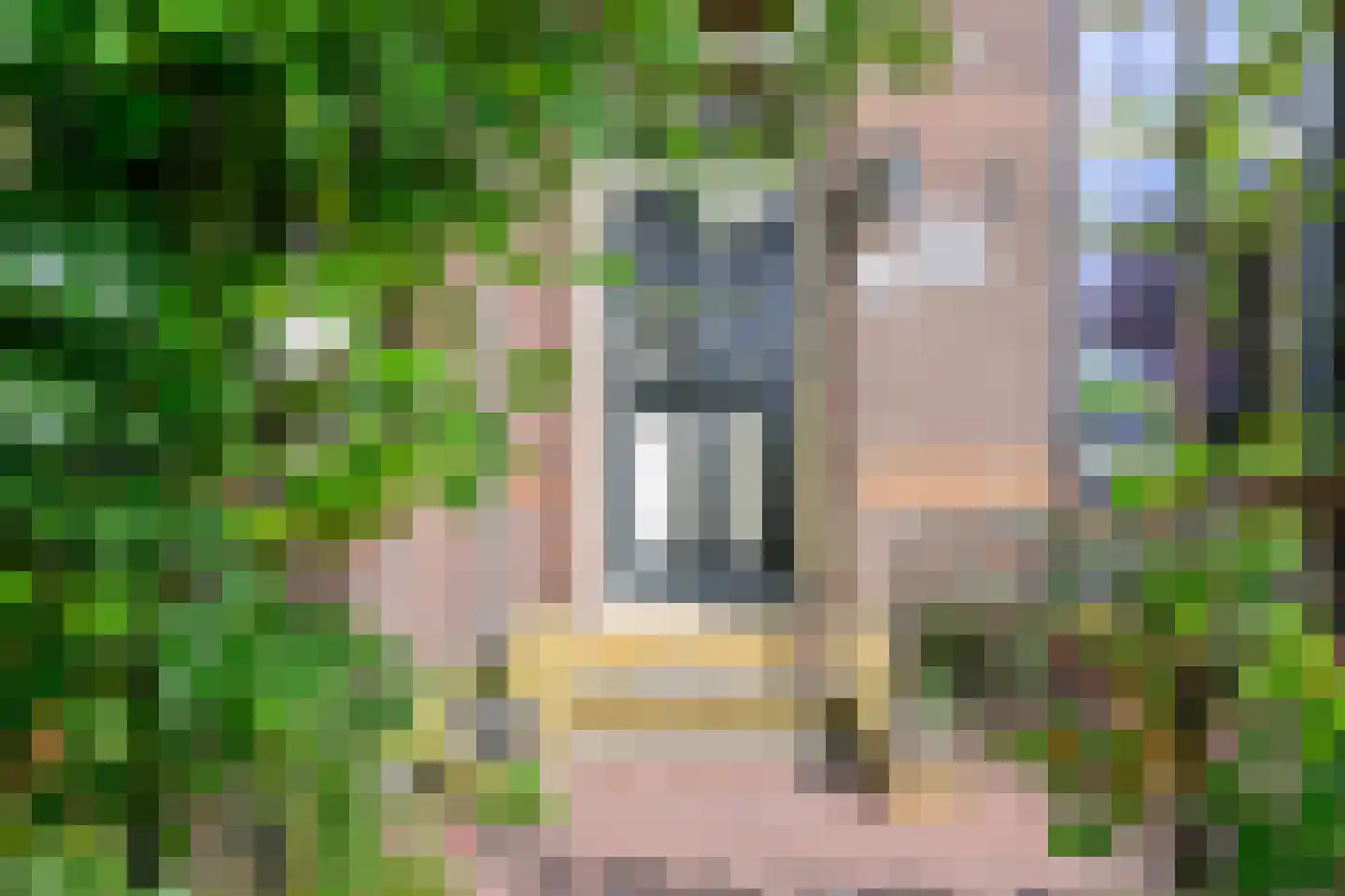 Grote Sloot 377 Schagerbrug thumbnail 5