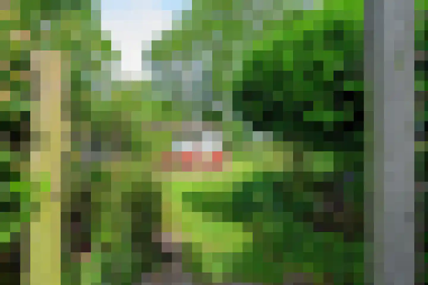 Grote Sloot 377 Schagerbrug thumbnail 50