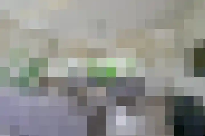 Grote Sloot 385 Schagerbrug thumbnail 10