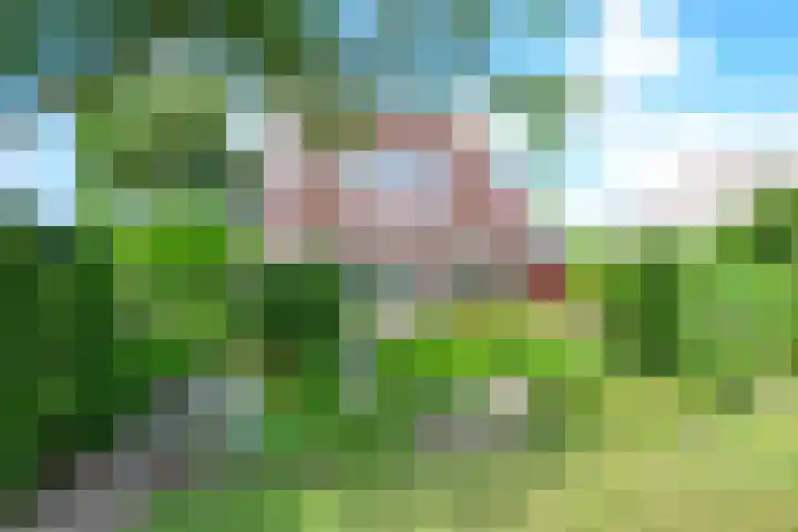 Grote Sloot 385 Schagerbrug thumbnail 4