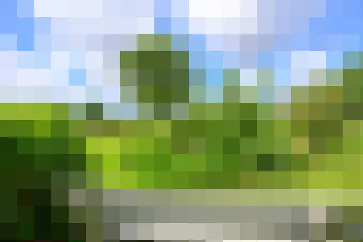 Grote Sloot 385 Schagerbrug thumbnail 46
