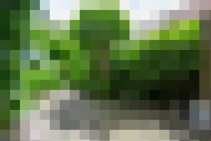 Grote Sloot 385 Schagerbrug thumbnail 50