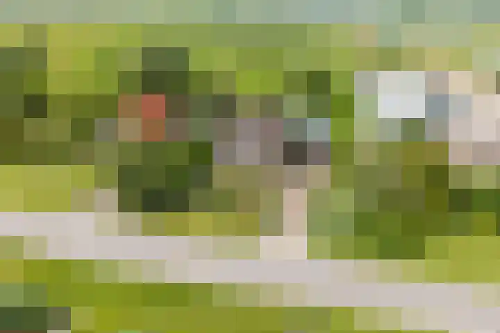 Grote Sloot 385 Schagerbrug thumbnail 53