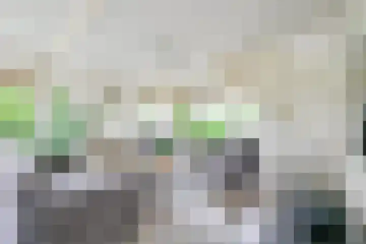 Grote Sloot 385 Schagerbrug thumbnail 8