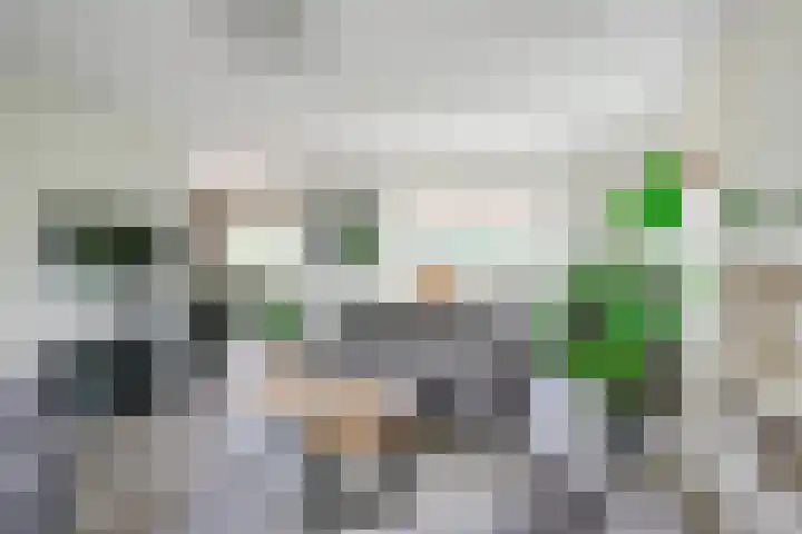 Grote Sloot 385 Schagerbrug thumbnail 9