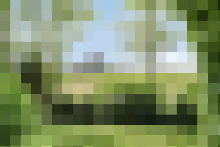 Grote Sloot 39 Burgerbrug thumbnail 47