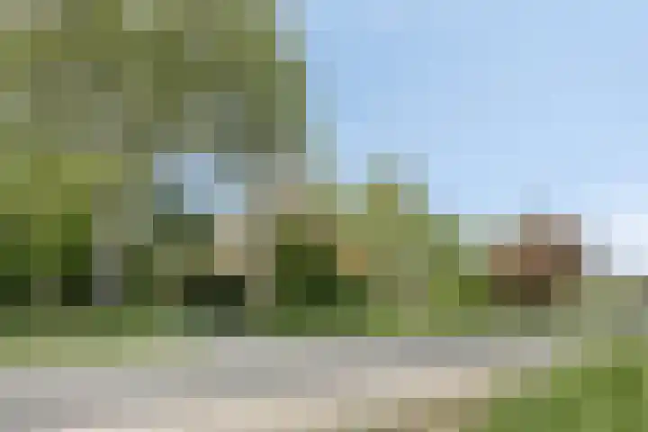 Grote Sloot 39 Burgerbrug thumbnail 5