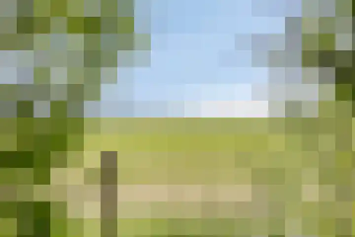Grote Sloot 39 Burgerbrug thumbnail 52