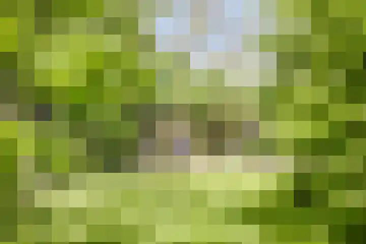 Grote Sloot 39 Burgerbrug thumbnail 53