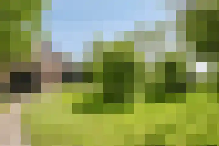 Grote Sloot 39 Burgerbrug thumbnail 54