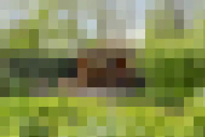 Grote Sloot 39 Burgerbrug thumbnail 57