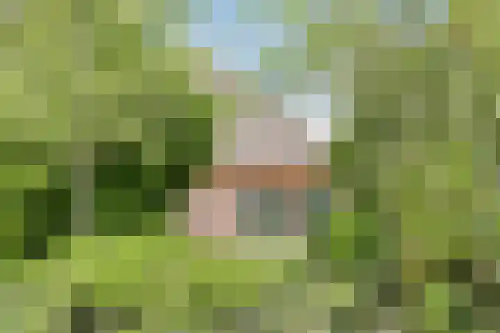 Grote Sloot 39 Burgerbrug thumbnail 59