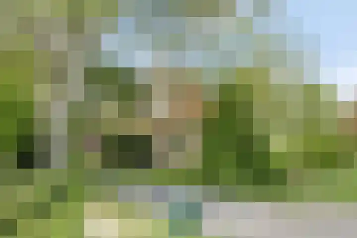 Grote Sloot 39 Burgerbrug thumbnail 6