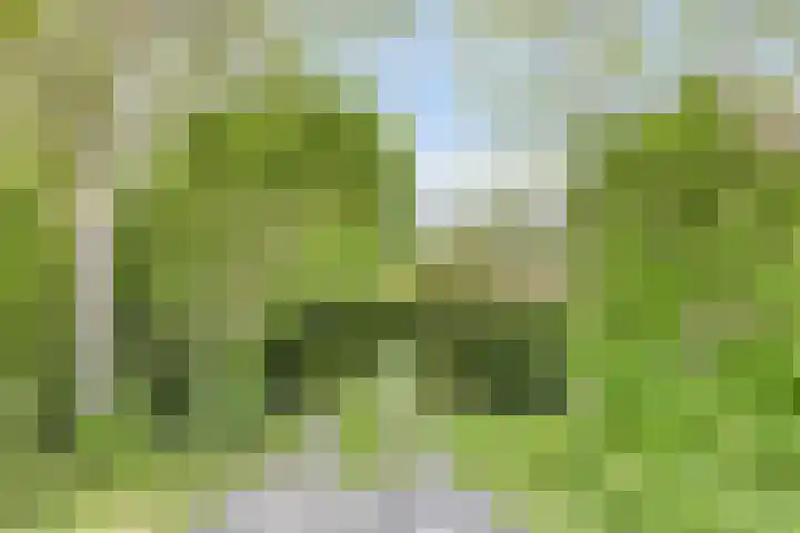 Grote Sloot 39 Burgerbrug thumbnail 7