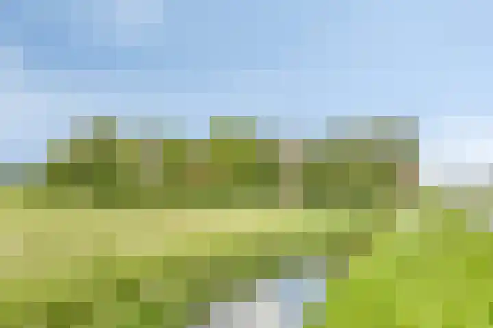 Grote Sloot 39 Burgerbrug thumbnail 8