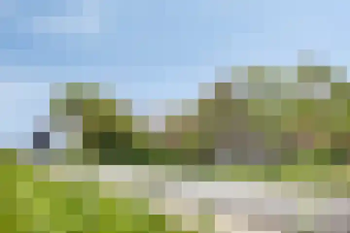 Grote Sloot 39 Burgerbrug thumbnail 9