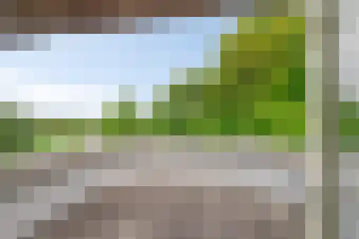 Grote Sloot 489 Oudesluis thumbnail 11