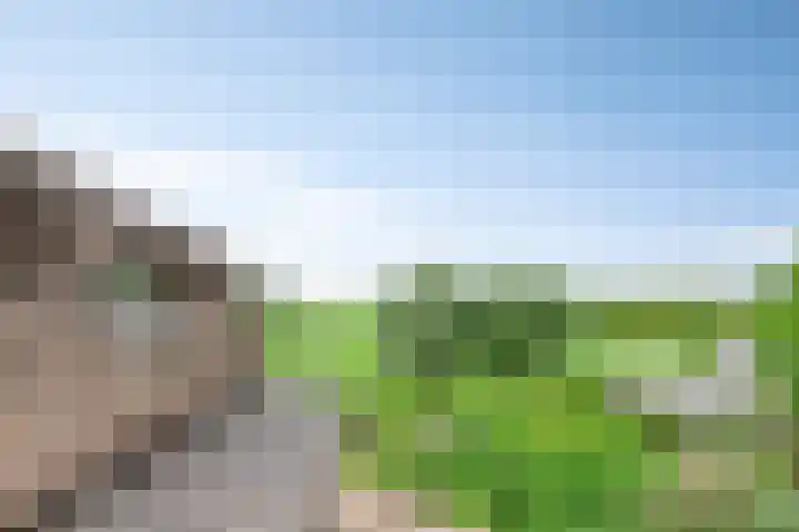 Grote Sloot 489 Oudesluis thumbnail 12