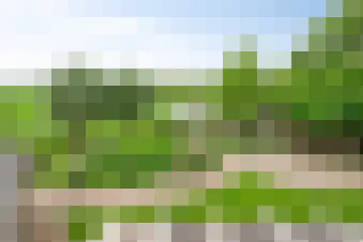 Grote Sloot 489 Oudesluis thumbnail 13