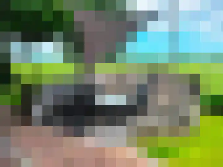 Grote Sloot 489 Oudesluis thumbnail 14
